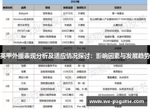 英甲外援表现分析及适应情况探讨：影响因素与发展趋势
